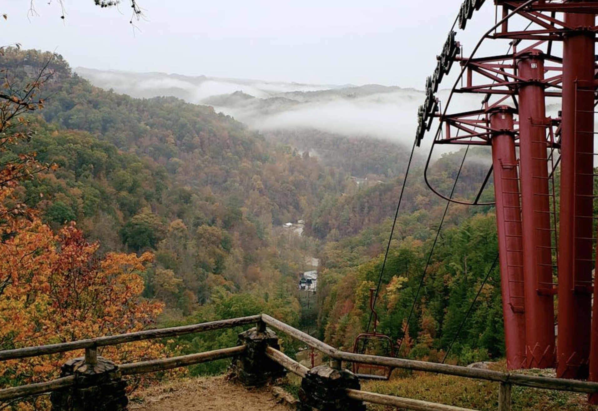 水槽 ky Local Attractions Guide | Discover & Book Now — Firefly Hills Kentucky
